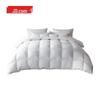 Jingdong Zhizao Duvet D'oie 95% White Goose Down Comforter