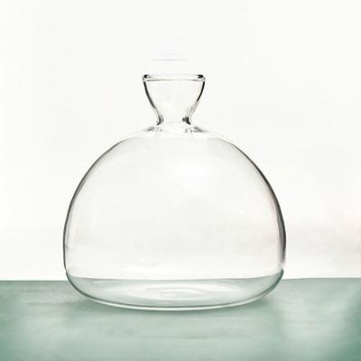 Heat Resistant Japanese Hydroponic Vase Transparent High-grade Glass Vase Container Easy To Carry Special Vase Pot Holidays Gift