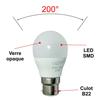 Lot de 2 ampoules LED B22 7,3W 806Lm 3000K - garantie 5 ans