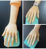 Hand Mannequin with Hand Stand, Two-Handed Set, Female Torso Mannequin, Drawing Model, 30cm, Skin Tone, Cosplay, Shop Display, Life-Size Figure, Doll,