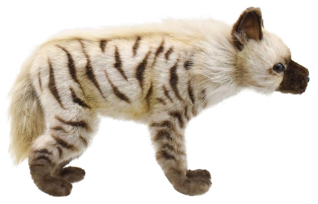 BH6210 HANSA Striped Hyena 33