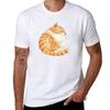 Tabby Sleeping Tshirt Quick Dry Light Sports Tshirt
