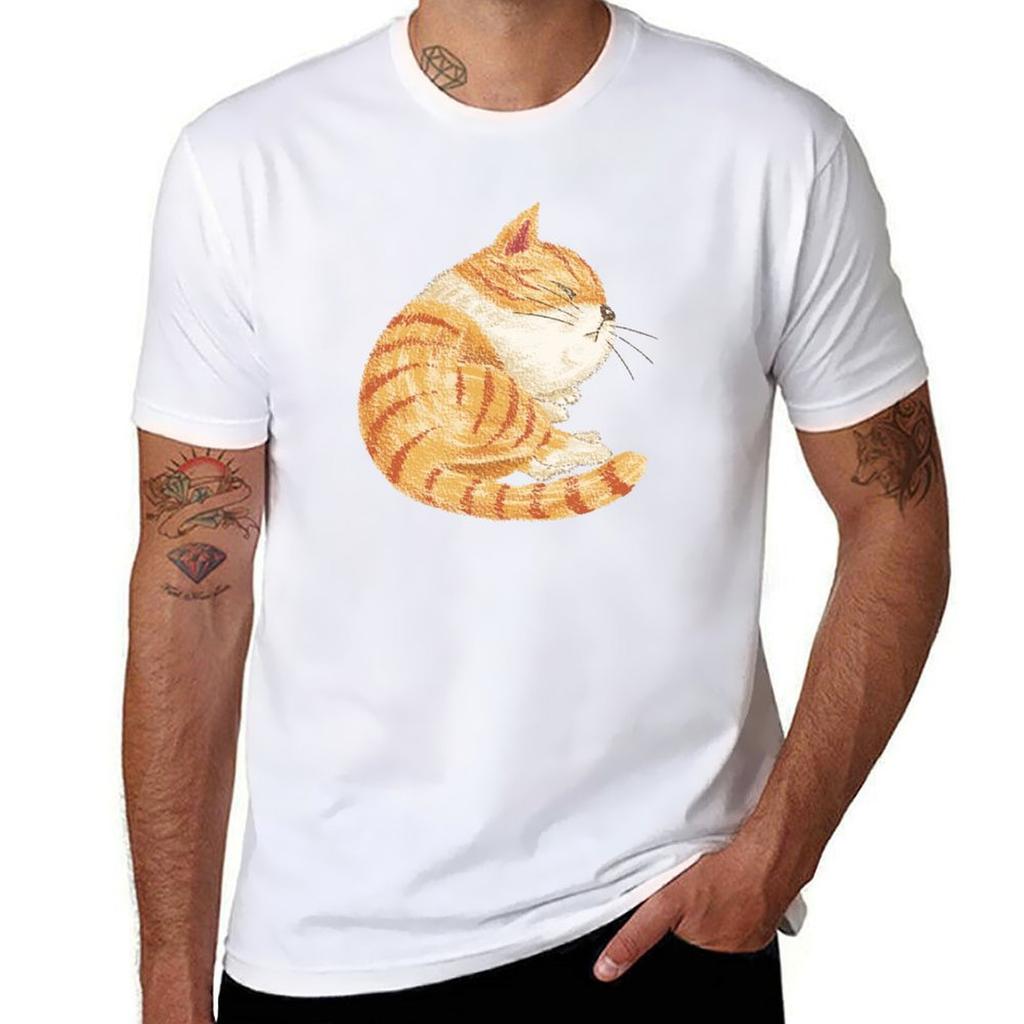 Tabby Sleeping Tshirt Quick Dry Light Sports Tshirt
