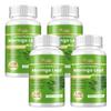 Pslalae - Moringa Leaf Extract Capsules - Antioxidant - Joint & Immune Health