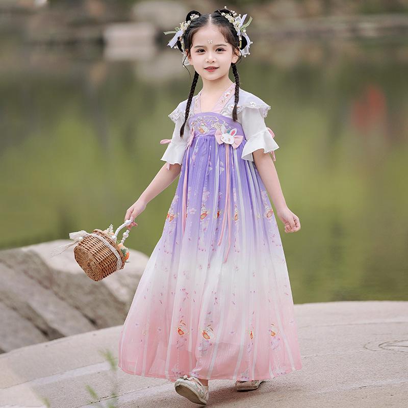 Girl Hanfu Ancient Costume Children Chinese Style Little Girl Dress Tang Dress Princess Skirt National Costume Children