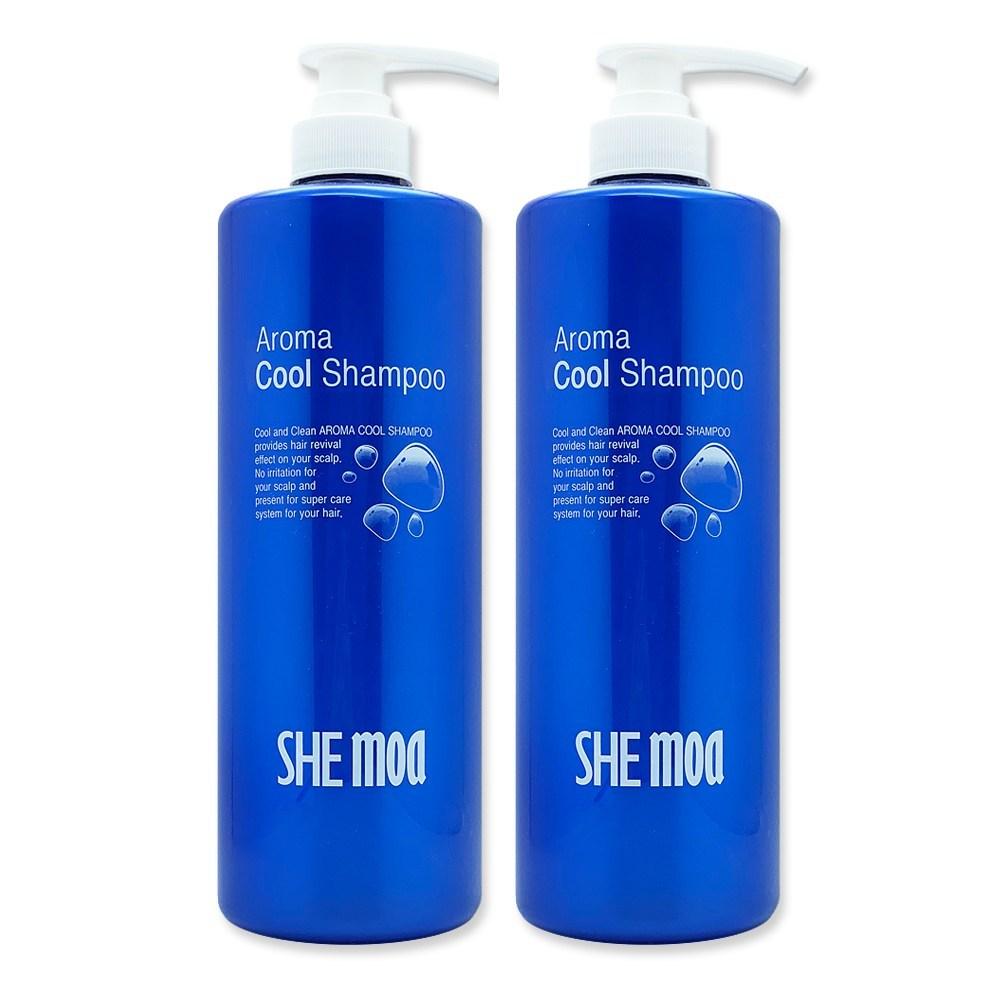 Haeden Cosmetics Chemoir Aroma Hair Cool Shampoo 1000ml 2 pcs