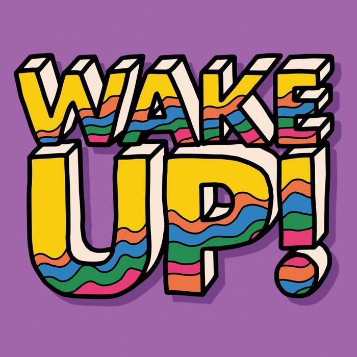 Vinyle pop rock - vinyle rock inde Rca Wake Up !