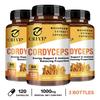 Cordyceps-Extrakt Pilzkapseln, hohe Konzentration an Cordyceps-Essenz, sanft und leicht absorbierbar, für Erwachsene geeignet.