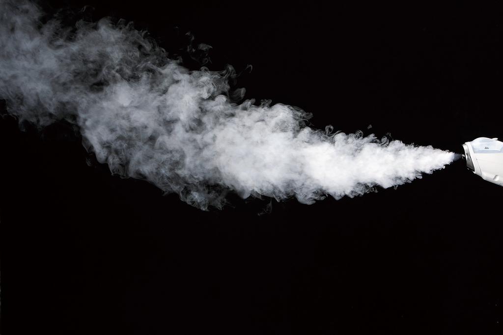 Twin Bird Clothes Steamer Handy Iron Steamer Ionic Deodorizing Disinfecting Brush Continuous Steam White & SA-4085W