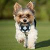 Dog Calming Ball Interactive Football Design Dog Toy Pets Toss And Fetch Toy with Squeaker Treat Dispensing for Small Medium Large Dogs