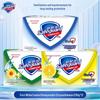 Safeguard Verschiedene Seifenstücke 3er-Pack