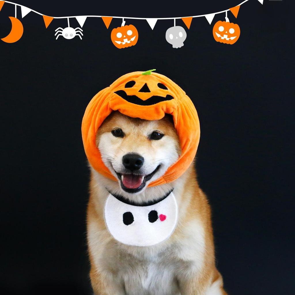 Halloween Kürbis Katze Hund Haustier Kostüm Hut Lätzchen