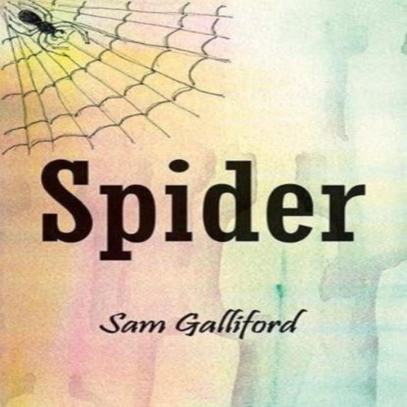 Spider by Sam Galliford Paperback Book 9781858587608