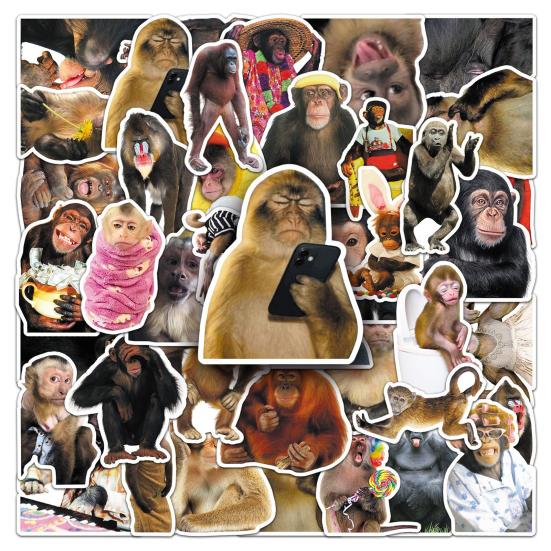 50 buc Autocolante Amuzant cu Maimuțe Impermeabile Decalcomanii Amuzant din Vinil Autocolante Impermeabile Fără Substanțe Chimice pentru Bagaje Laptopuri Sticle de Apă Skateboards