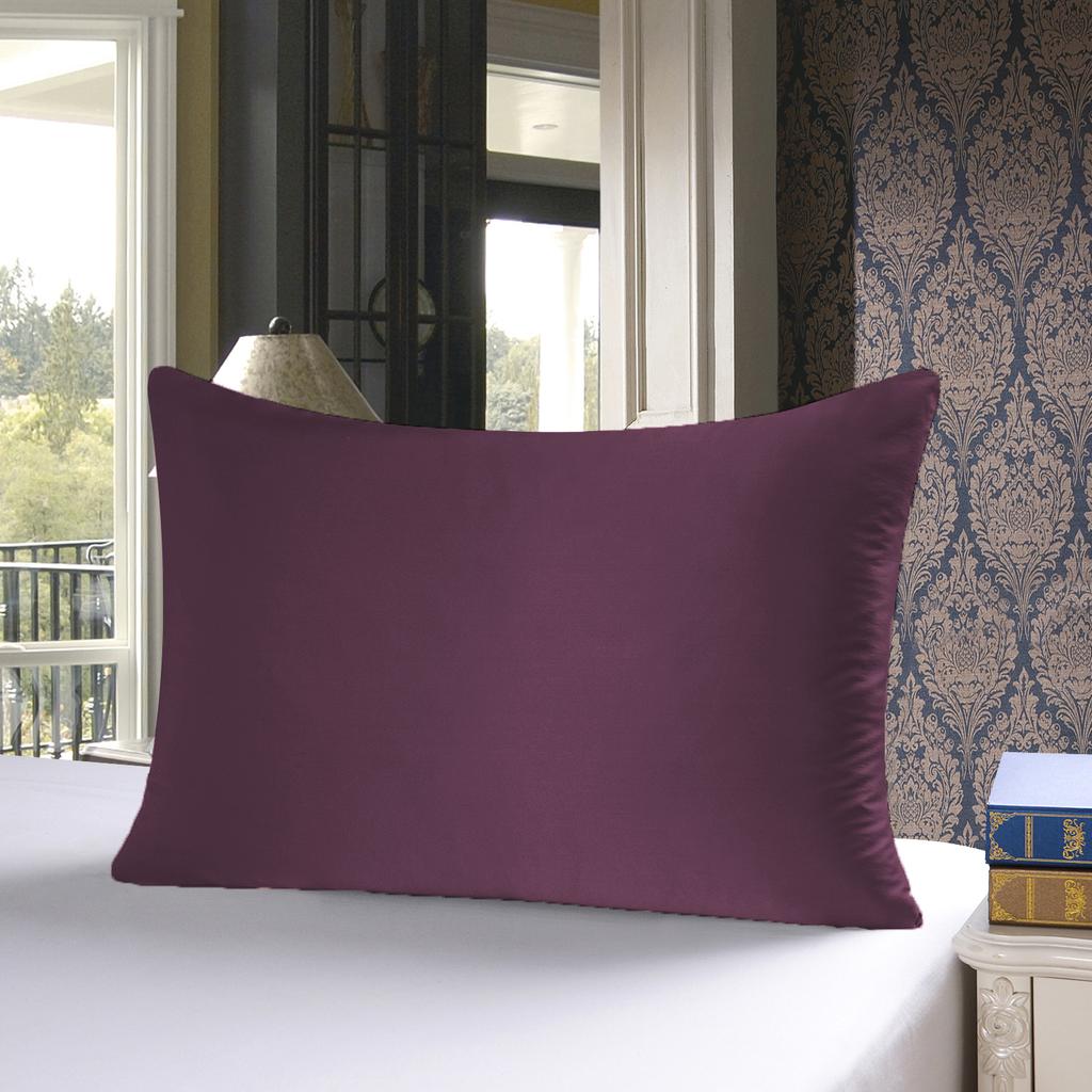 25 Momme  Natural Mulberry Silk Pillowcase,Both Sided Pure Silk Pillow Cover Gifts for Women,Pure Silk Pillowcsae For Hair