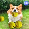 Hundespielzeug vertreibt Langeweile Bissfester Ball Großer Hund Selbstbefriedigung und Geräusche Haustier Hund Bissfest Großer Hund Geräuschspielzeug