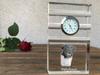Stabyhoun, Stabijhoun, Fryske Stabij – Glass clock with a photo, photo of a dog in crystal | Art-Dog