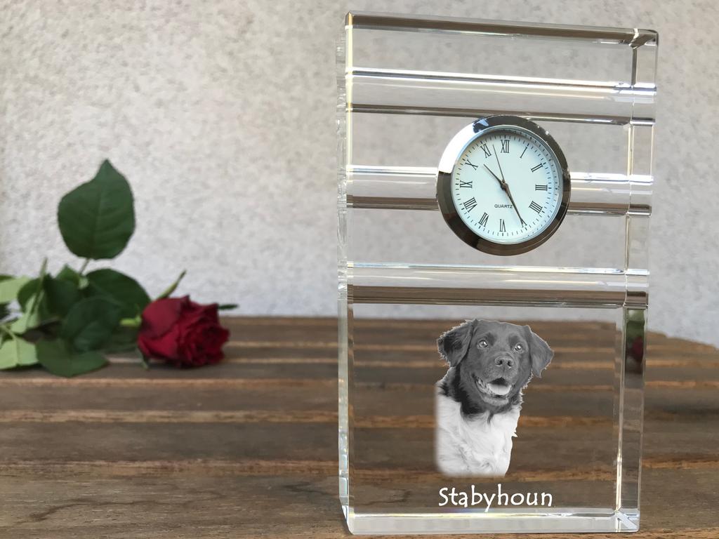 Stabyhoun, Stabijhoun, Fryske Stabij – Glass clock with a photo, photo of a dog in crystal | Art-Dog