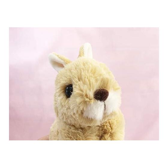 Takeoff Plush Rabbit Maron with Music Box Netherland Dwarp Beige Total Length 19cm