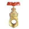 IceYu Brass Gate Valve