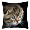 (Nikita) Throw Case Star Shining Printed Sofa Putetrekk Home Decor