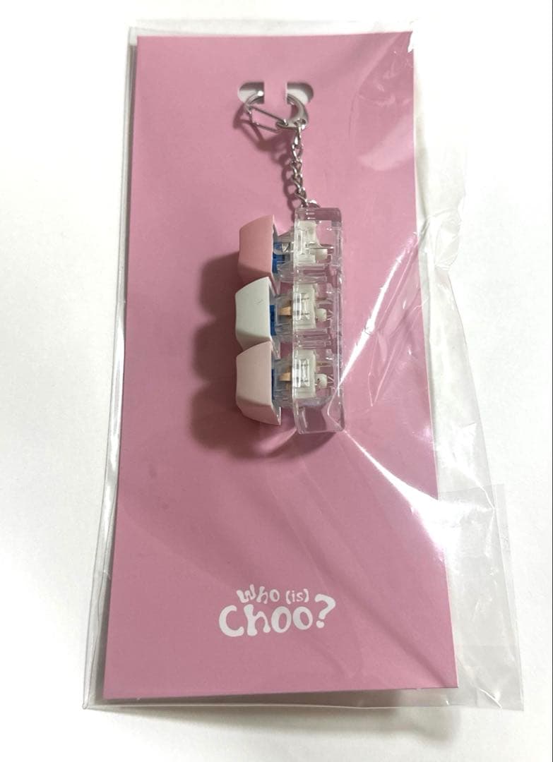 [USED] Chu Young-woo Korean Fan Meeting MD Keyring