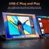 15.6/18.5 '' Portable Monitor 60/100Hz 1080P HDR With VESA Hole & Back Bracket Laptop Extended Display for Mac Laptop PC Switch