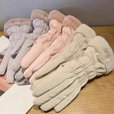 2025 New Women Winter Warm Gloves Cute Touchscreen Riding Waterproof and Cold Proof Plus Thick Plush Cotton Gloves
