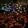 Customized Outdoor Cherry Blossom LED Solar Lights for Garden Decor
