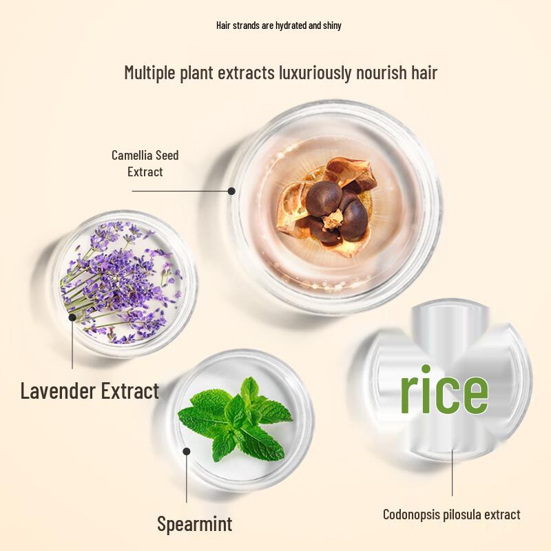 seeyoung Camellia Seed Oil Control Anti-Dandruff Conditioner