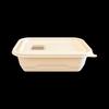 Eco-Friendly Rectangular Disposable Food Containers with Lid