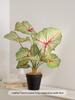Artificial Green Plants for Indoor Decor – Potted Ornaments for Living Room or Coffee Table