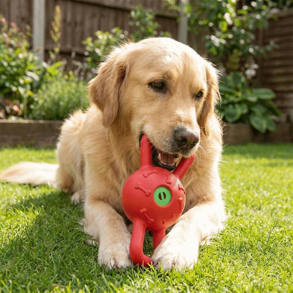 Pull Ring Bite Resistant Dual Handle Dog Puzzle Sound Pet Chew Plastic Squeaky Dog Outdoor Play