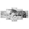 5 st Grå Vit Zebra Safari Dekor Canvas Tavla Väggkonst HD Print Bilder Poster Heminredning Abstrakt 5 delar Målningar