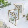 Suport pentru Specimen de Plante din Sticlă cu Două Fețe Clip pentru Flori Uscate Ornament Decorativ pentru Casă 14x16x1.5cm