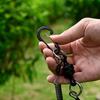 Magnetic fishing anti-loss rope carp fishing tools accessories Outdoor fishing goods quick-release strongagnetic portable buckle