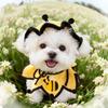 Elastic Pet Knitted Hat Bee Shaped Dog Drool Towel Cat Headgear Cat Collar  Party Events