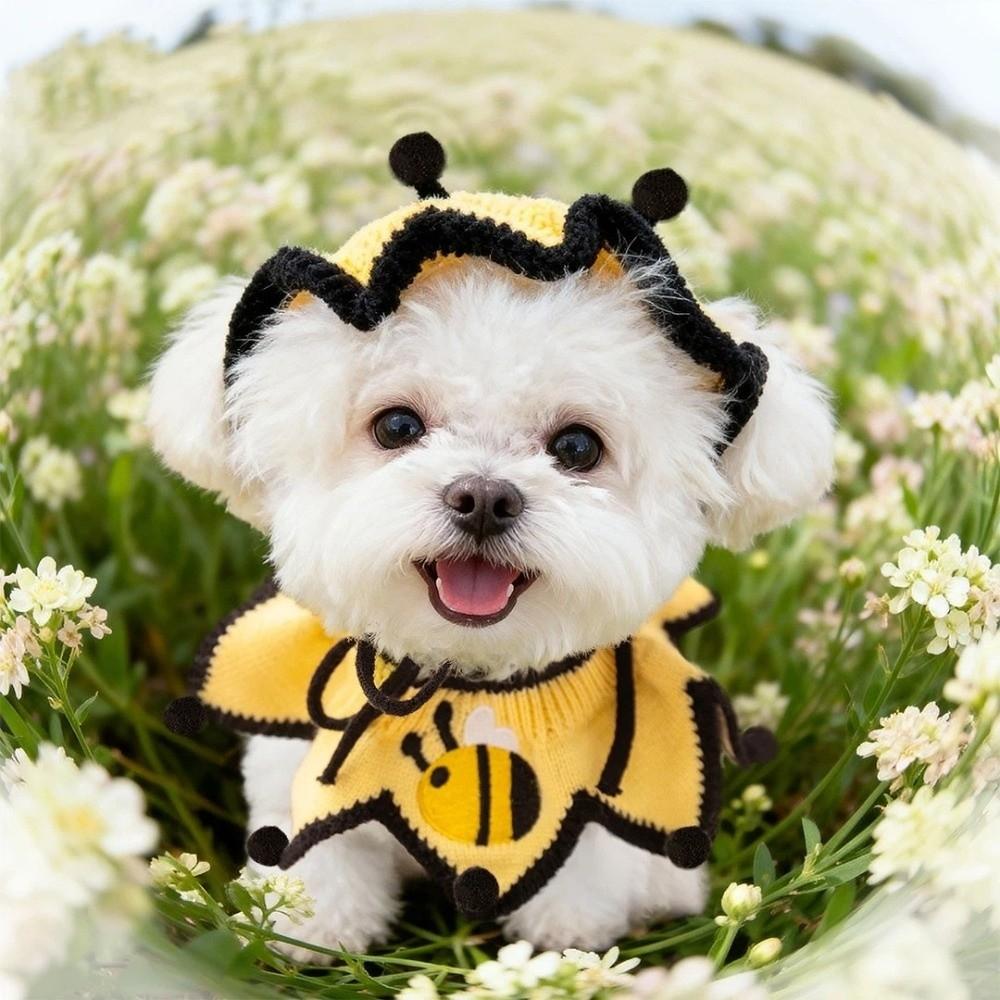 Elastic Pet Knitted Hat Bee Shaped Dog Drool Towel Cat Headgear Cat Collar  Party Events