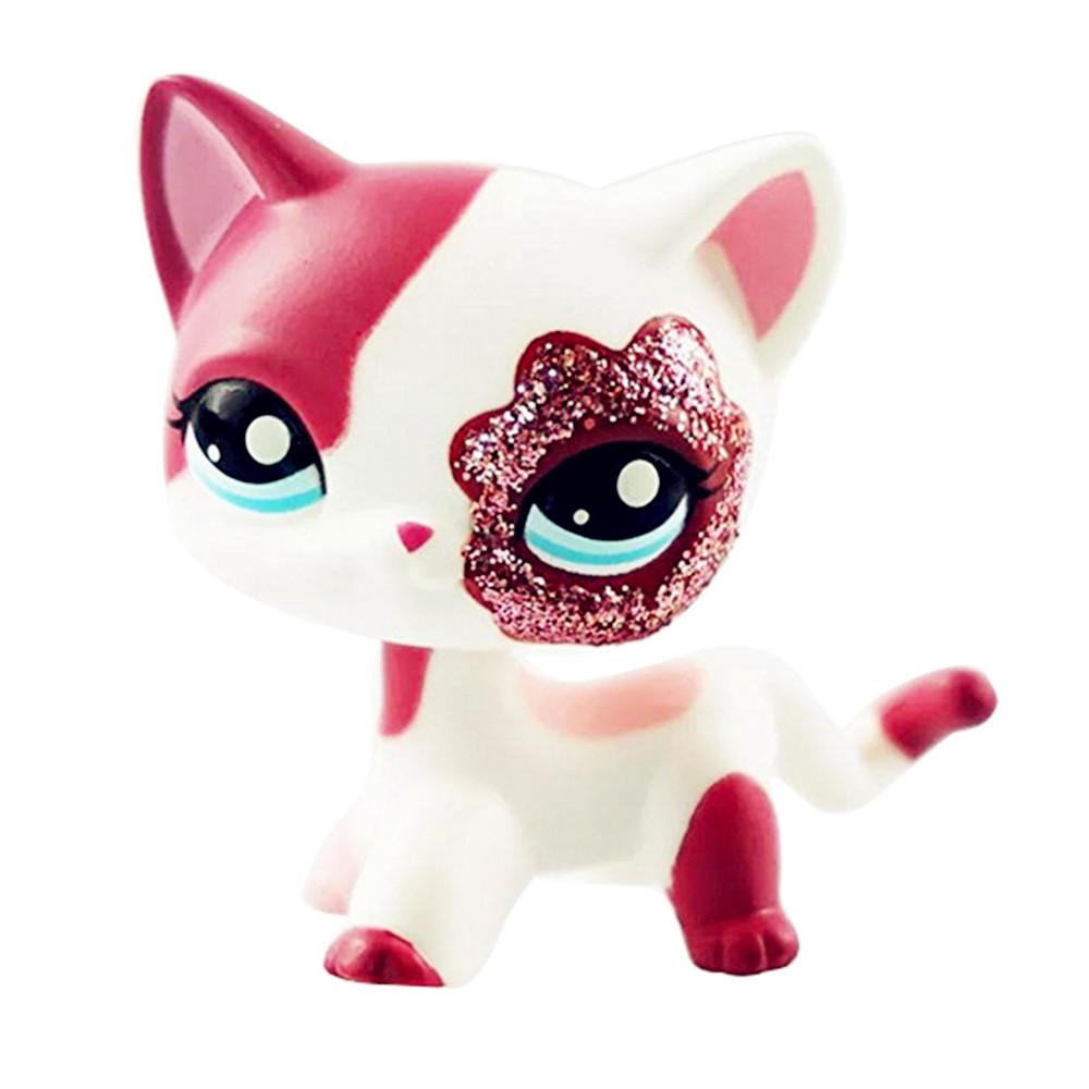 lps heart cat