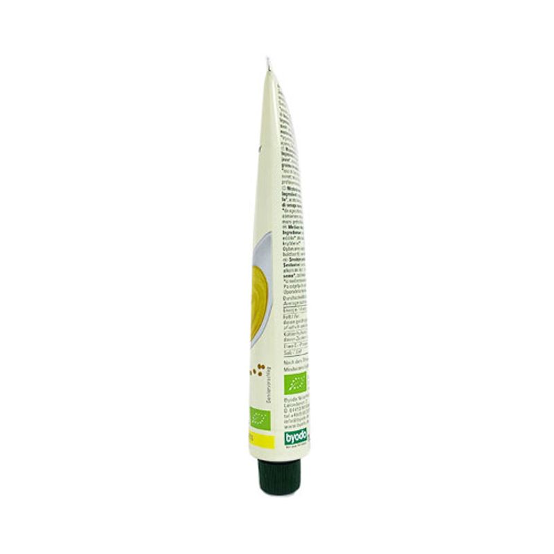 Byodo Mustard Medium Spicy 100ml (Tube)