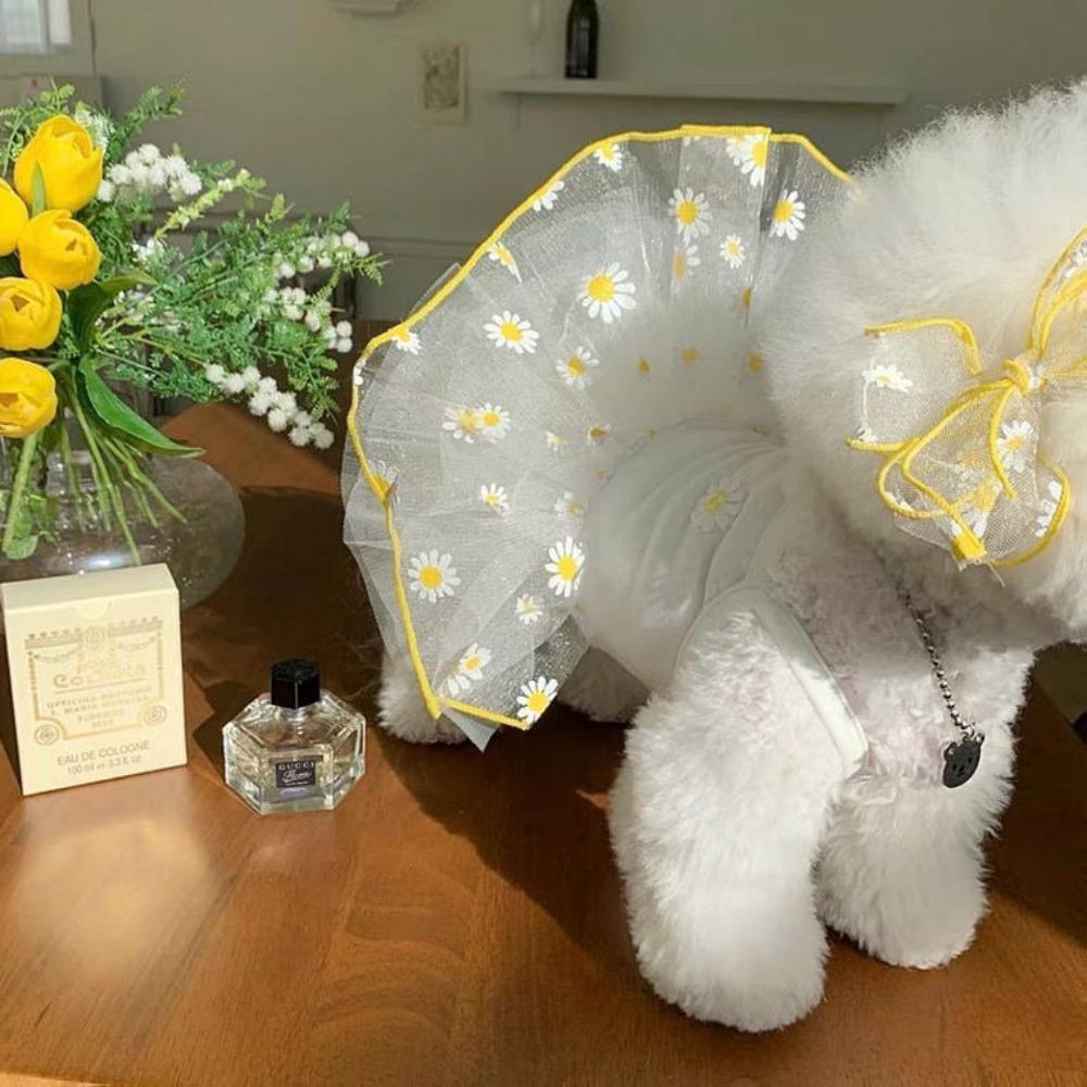 Summer new dog clothes cute mesh strawberry suspender skirt cat thin dress cat pet clothing