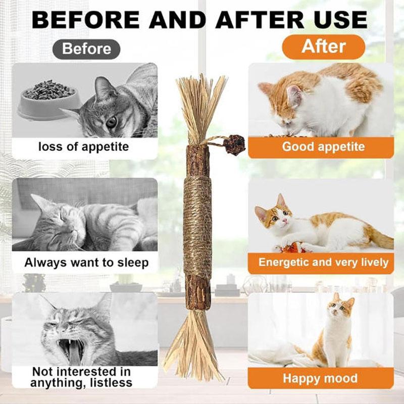 6Pcs Catnip Toys Cat Wand Silvervine Sticks Cat Toys For Indoor Chew Cats Toy