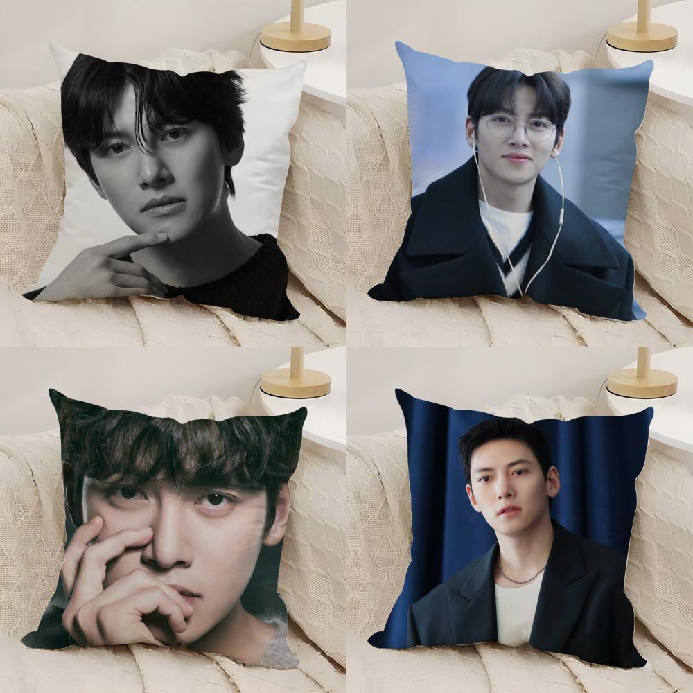 JJi CChang Wook Cushion Cover Silky Short Plush DoubleSided Printed Pillow Case for Sofa All Seasons Home Decor Gift