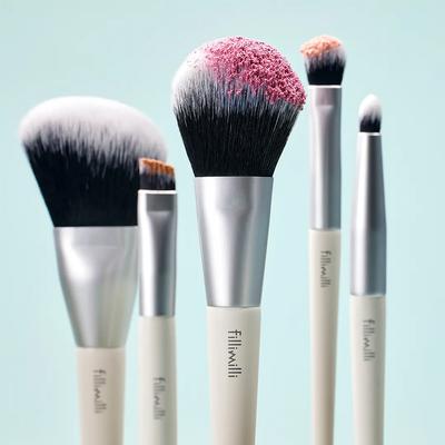Mini Makeup Brush Kit (5 Pieces)