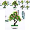 Artificial Plant Bonsai With Fruits For Home Decor And Gift Ideas