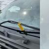 Small Wiper Blade Support Stand Raises Blades From Windshield To Prevent Ice Formation Universal Fit Various Vehicles