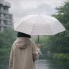 Portable Cartoon Cat Umbrella Waterproof Automatic Umbrella Frosted Umbrella  Rainy Day