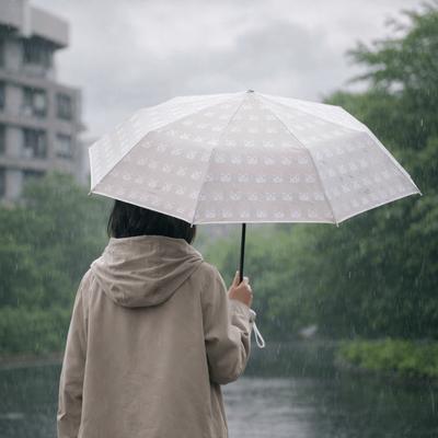 Portable Cartoon Cat Umbrella Waterproof Transparent Umbrella Cute Folding Umbrella  Rainy Day
