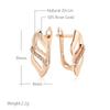 Fashion Glossy English Earrings  Rose Gold Color With Natural Zircon Accessories Women Daily Fine Ethnic Jewelry