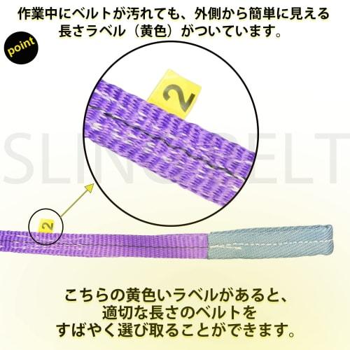 HELIX Sling Belt Width 25mm Working Load 1000kg Nylon Sling Lifting Traction Belt Sling 1T Japanese Specifications Included [Set of 2] (3m)